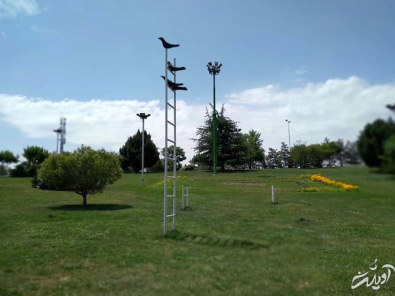 داستان کلاغ ها اثر علی داوری تخریب شده